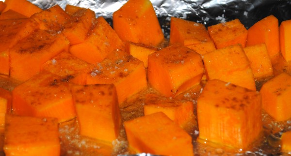 Oodles of Obliciousness – Spicy Chicken & Butternut Squash Tagine